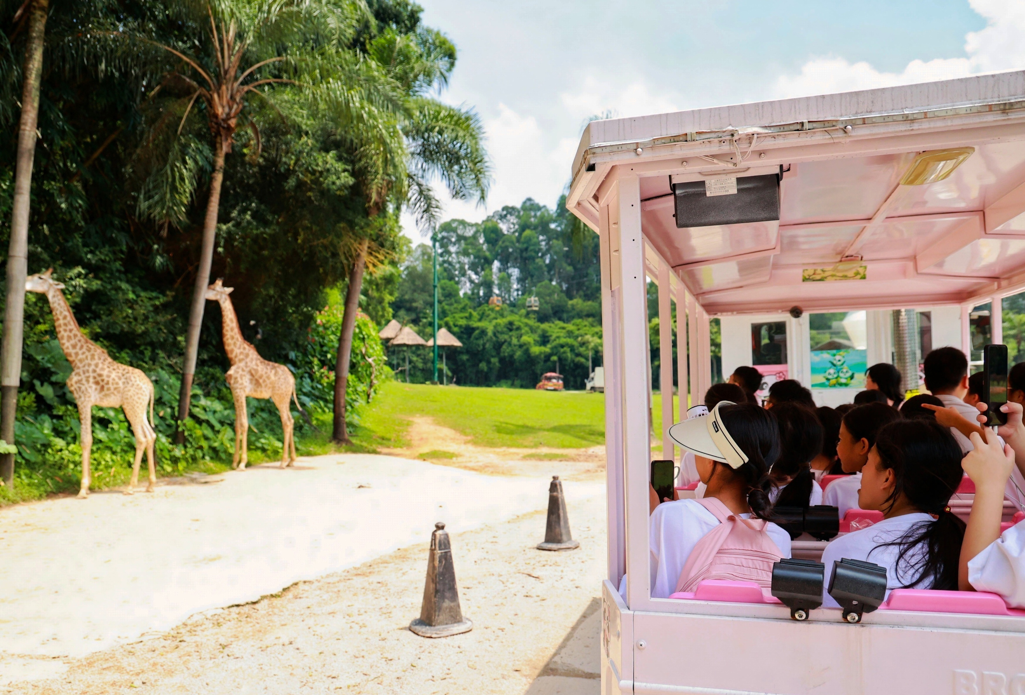 長(zhǎng)隆 (8).JPG